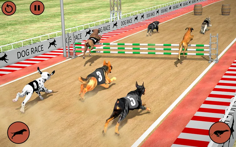 Cách Chơi Game Nhanh Đua Chó Tại J88 Dễ Thắng Nhất