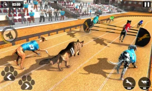 Cách Chơi Game Nhanh Đua Chó Tại J88 Dễ Thắng Nhất